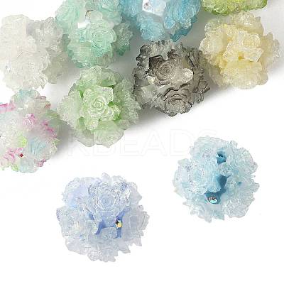 10Pcs 10 Colors Resin Beads RESI-FS0002-24A-1
