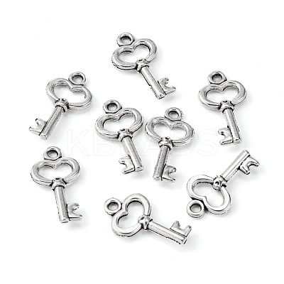 Gifts Ideas for Her Tibetan Style Alloy Charms LF11975Y-NF-1