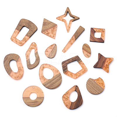 30Pcs 15 Style Transparent Resin & Walnut Wood Pendants RESI-FW0001-04-1