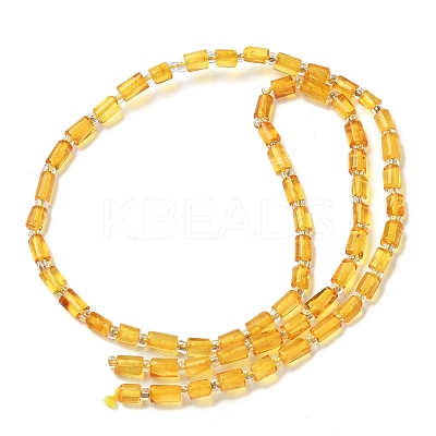 Natural Amber Beads Strands G-K387-G01-01-1