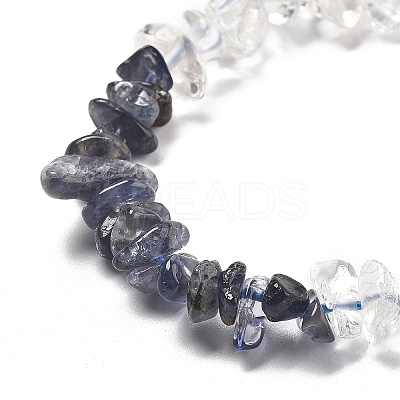 Natural Quartz Crystal & Iolite Beads Strands G-L610-A30-01-1