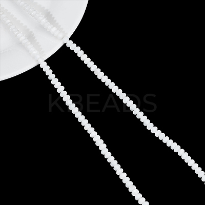 2 Strands Natural Freshwater Shell Beads Strands SHEL-NB0001-51-1
