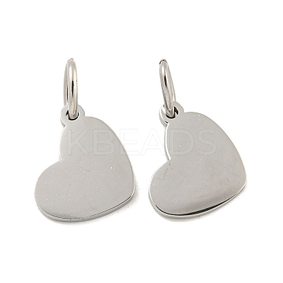 Non-Tarnish 304 Stainless Steel Stamping Blank Tag Mirror Polished Finish Charms STAS-P356-14P-1