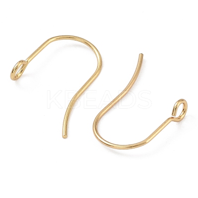 316 Surgical Stainless Steel Earring Hooks STAS-P162-13G-B01-1