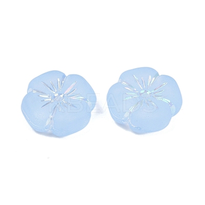 Frosted Transparent Acrylic Beads OACR-P029-19B-01-1