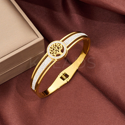 Stainless Steel Hinged Bangles for Women WGCD00D-01-1