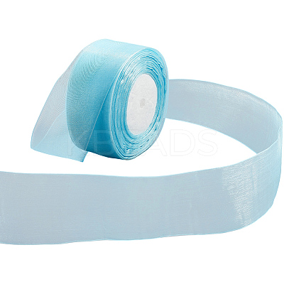 1 Rolls Sheer Organza Ribbon SRIB-CY0001-22C-12-1