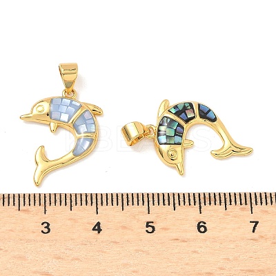 Brass Enamel Pendants KK-H534-01C-G-1