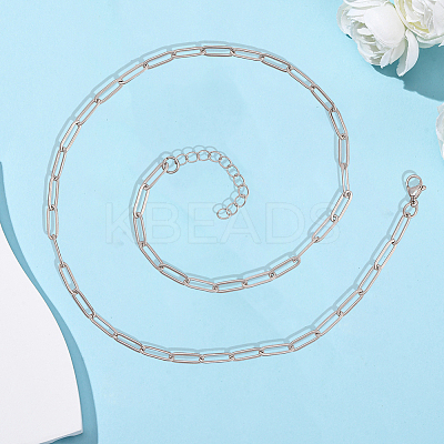 10Pcs 667 Stainless Steel Paperclip Chain Necklaces NJEW-BBC0001-48C-P-1