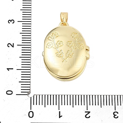 Brass Locket Pendants KK-H206-01G-01-1