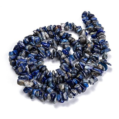 Natural Lapis Lazuli Beads Strands G-F703-05B-1