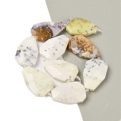 Natural White African Opal Beads Strands G-P548-B09-01-1