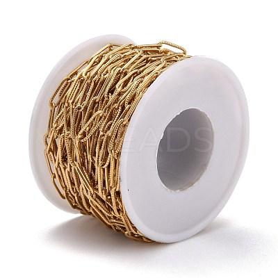 3.28 Feet 304 Stainless Steel Paperclip Chains X-CHS-D033-06G-01-1