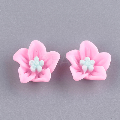 Resin Cabochons CRES-T010-29E-1