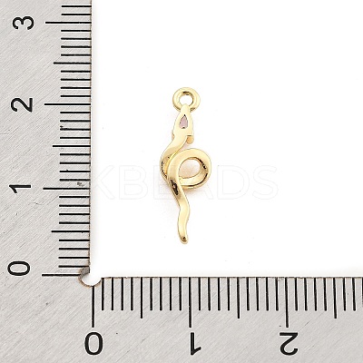 Brass Micro Pave Cubic Zirconia Pendants KK-M321-01E-G04-1