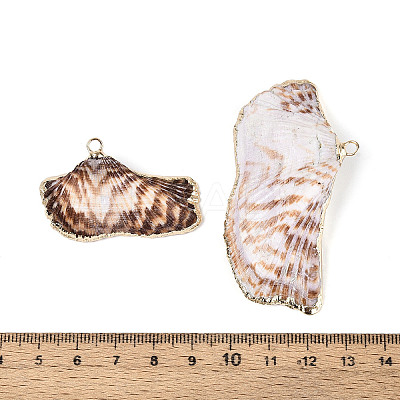 Natural Sea Shell Big Pendants with Golden Brass Edge & Iron Loops BSHE-T014-21-1