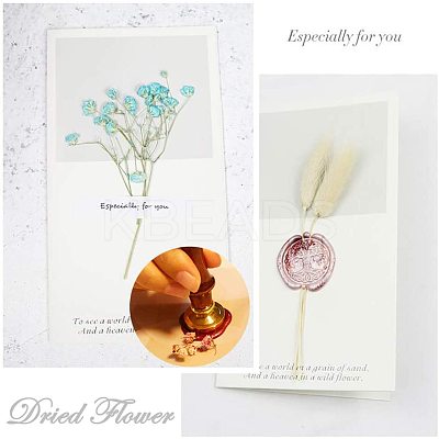 DIY Scrapbook AJEW-CP0001-01D-1