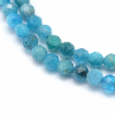 Natural Apatite Beads Strands LS-G-E411-36-2mm-01-1