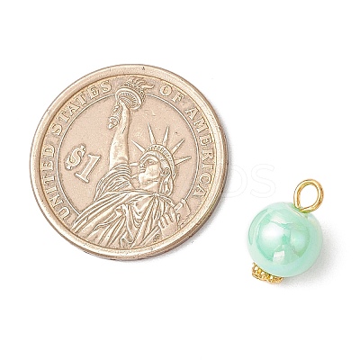Opaque Acrylic Pendants PALLOY-JF03929-02-1