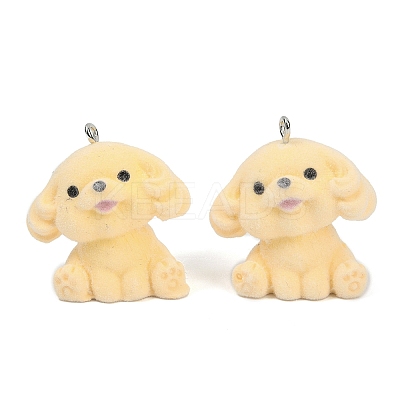 Flocky Resin Pendants FIND-A052-06C-1