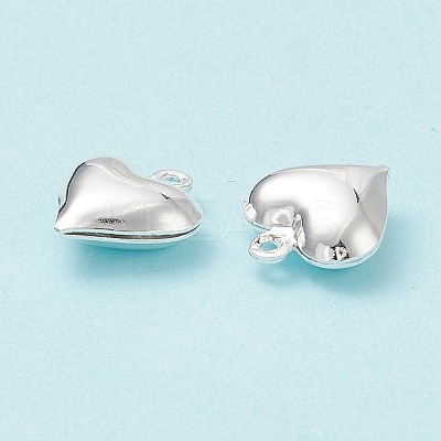 304 Stainless Steel Pendants STAS-H413-16S-1