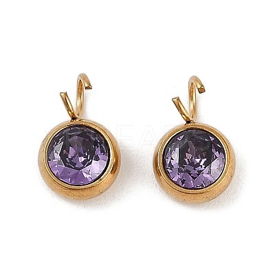 Ion Plating(IP) 304 Stainless Steel Micro Pave Cubic Zirconia Charms X-STAS-Z094-02G-04-1