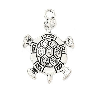 Tibetan Style Alloy Pendants FIND-L022-04AS-1