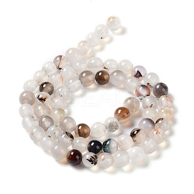 Natural Dendritic Agate Beads Strands G-D845-04-10mm-1
