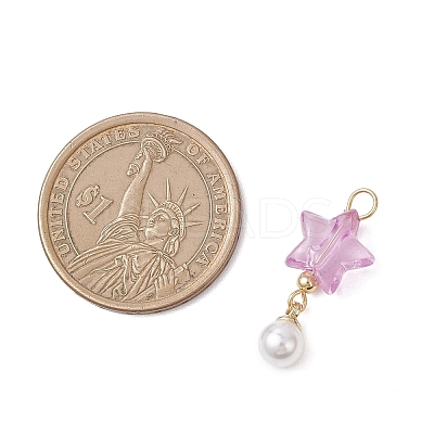 Transparent Acrylic Pendants PALLOY-JF04765-1