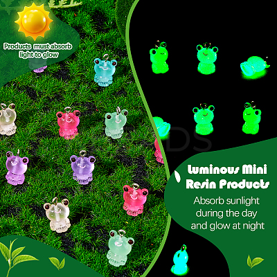 60Pcs Luminous Transparent Resin Pendants RESI-SZ0002-04-1