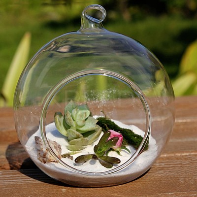 Transparent Wall Hanging Glass Ball Planter Terrarium Container Vase DIY-L047-01-1