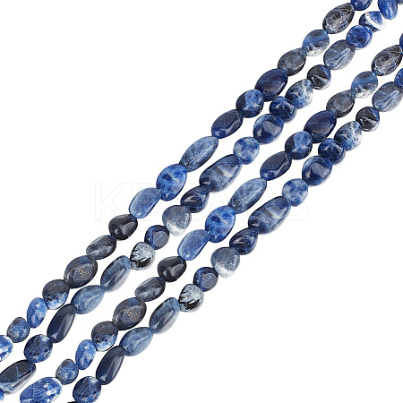 2 Strands Natural Sodalite Nuggets Beads Strands G-GO0001-43-1
