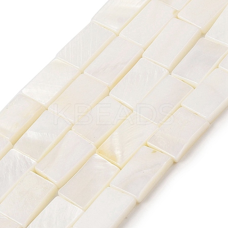 Natural Freshwater Shell Beads Strands BSHE-H018-03-1