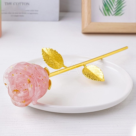 Resin & Iron Rose Display Decoration PW-WG60149-01-1