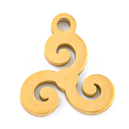 304 Stainless Steel Charms STAS-Z076-01G-03-1