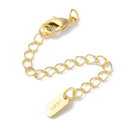 Brass Lobster Clasps & Ends with Chain KK-F880-35G-1