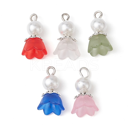 Transparent Acrylic Pendants PALLOY-JF02336-1