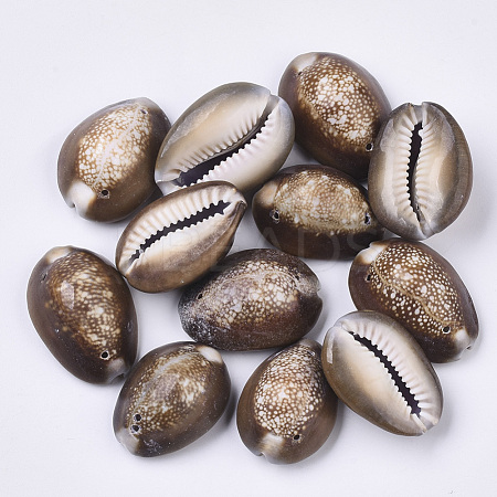 Natural Cowrie Shell Links connectors SSHEL-N034-25-1