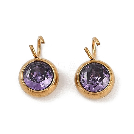 Ion Plating(IP) 304 Stainless Steel Micro Pave Cubic Zirconia Charms X-STAS-Z094-02G-04-1