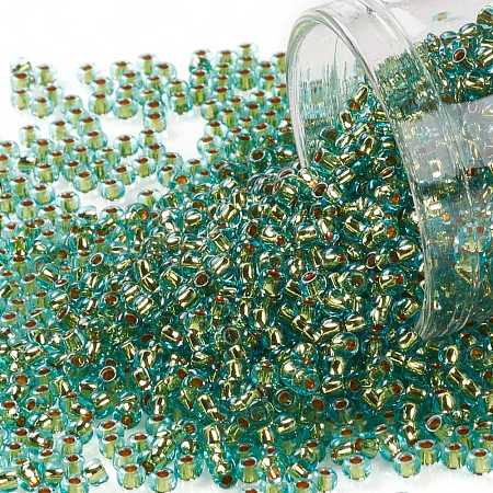 TOHO Round Beads X-SEED-TR11-0755-1