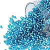TOHO 11/0 Round Beads X-SEED-TR11-0023BF-1