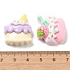 Opaque Resin Imitation Food Decoden Cabochons RESI-R448-09-3