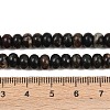 Natural Biotite Beads Strands G-L647-D05-4x6mm-5