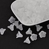 Frosted Acrylic Beads X-PL692-13-2