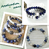 2 Strands Natural Lapis Lazuli Beads Strands G-SP0001-26-6