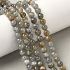 Natural Labradorite Beads Strands G-U017-6mm-01-A-1