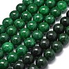 Natural Malaysia Jade Beads Strands G-L645-A01-14mm-17-1