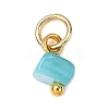 Dyed Natural Freshwater Shell Nuggets Charms PALLOY-JF04375-01-3