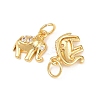 Brass Micro Pave Clear Cubic Zirconia Charms KK-H292-56B-G-2