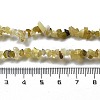 Natural Supper 7 Rutilated Quartz Chip Beaded Necklaces for Men Women NJEW-G159-01B-5